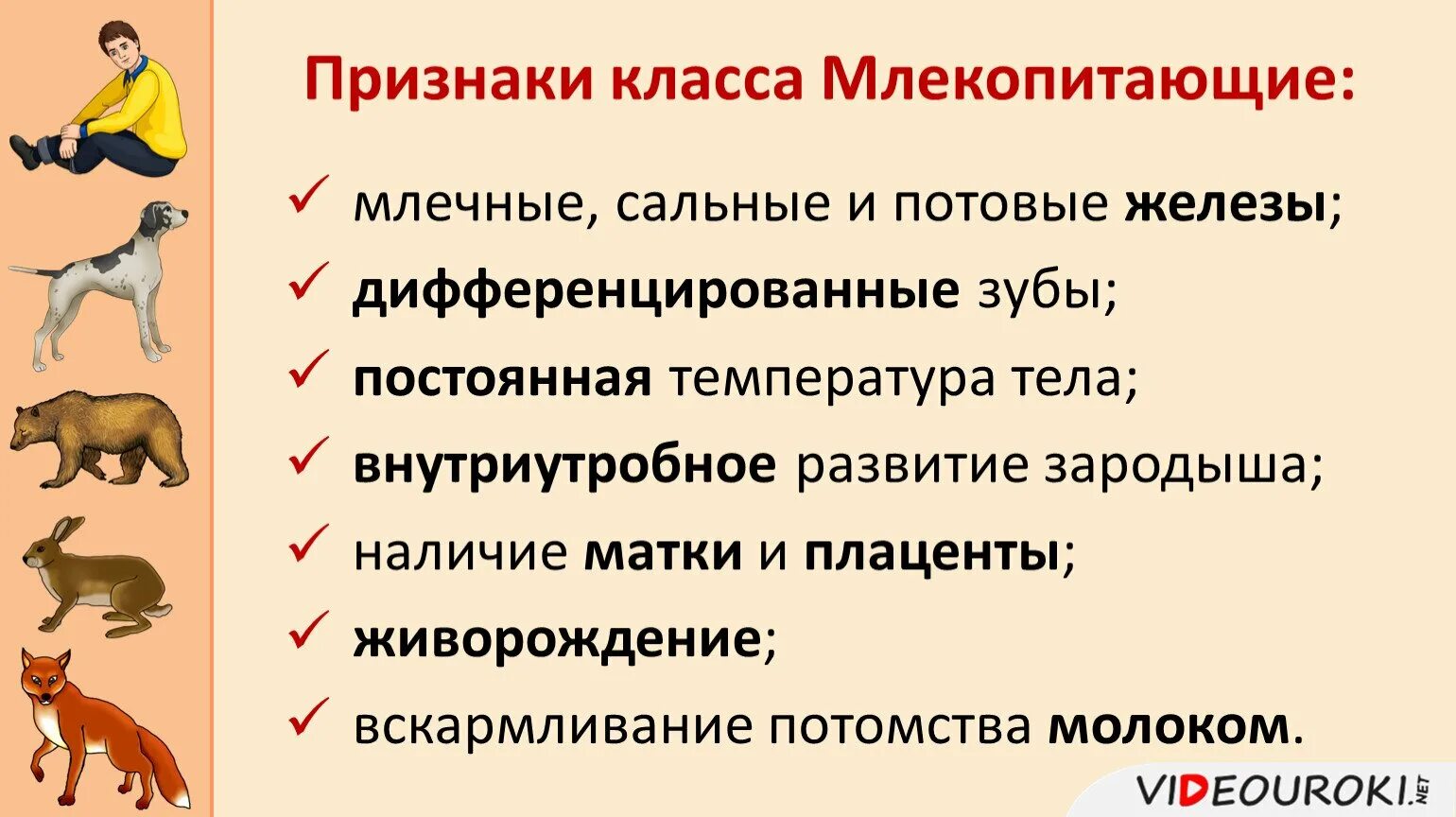 Картинка признаки животных Картинки ОПРЕДЕЛИТЕ ПРИЗНАКИ МЛЕКОПИТАЮЩИХ