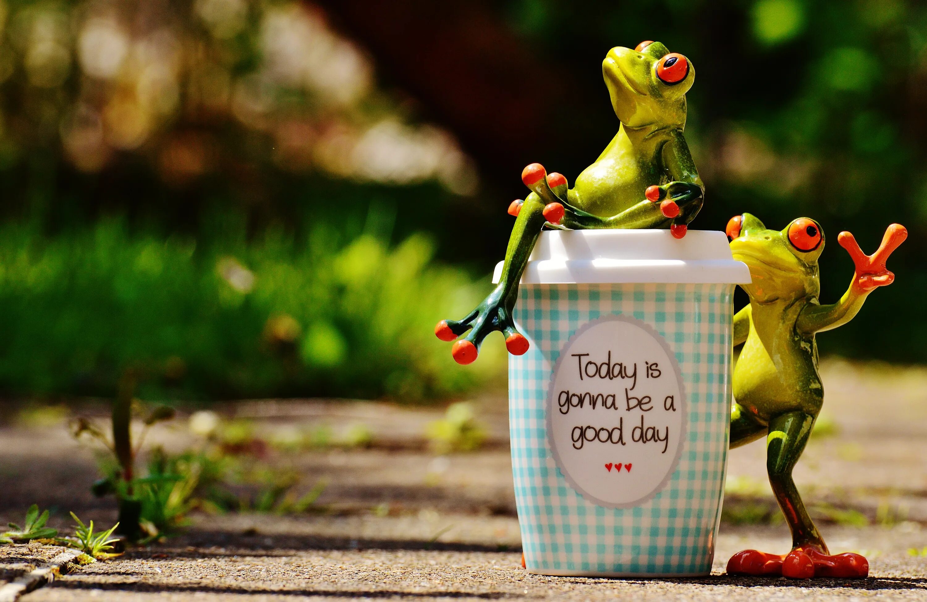 Картинка про хороший день Figures of funny frogs near a glass of coffee free image download