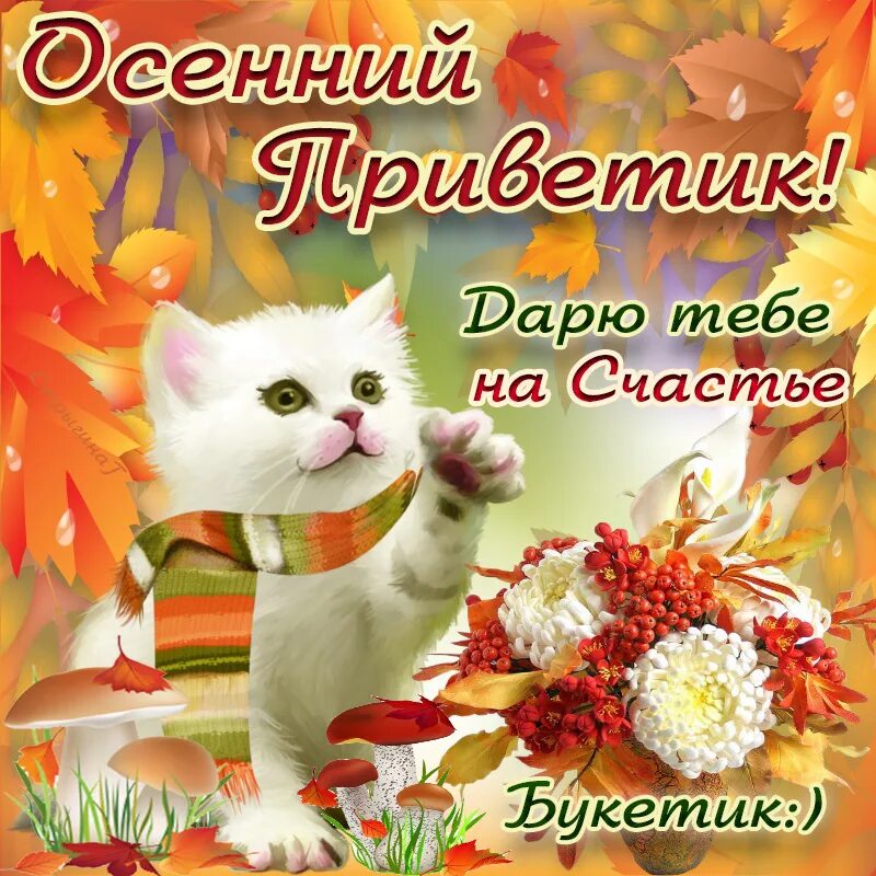Картинка про осень с пожеланиями хорошего дня Бесплатная открытка с Осенним Приветом