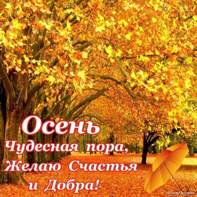 Картинка про осень с пожеланиями хорошего дня Осень…Осень. - DRIVE2