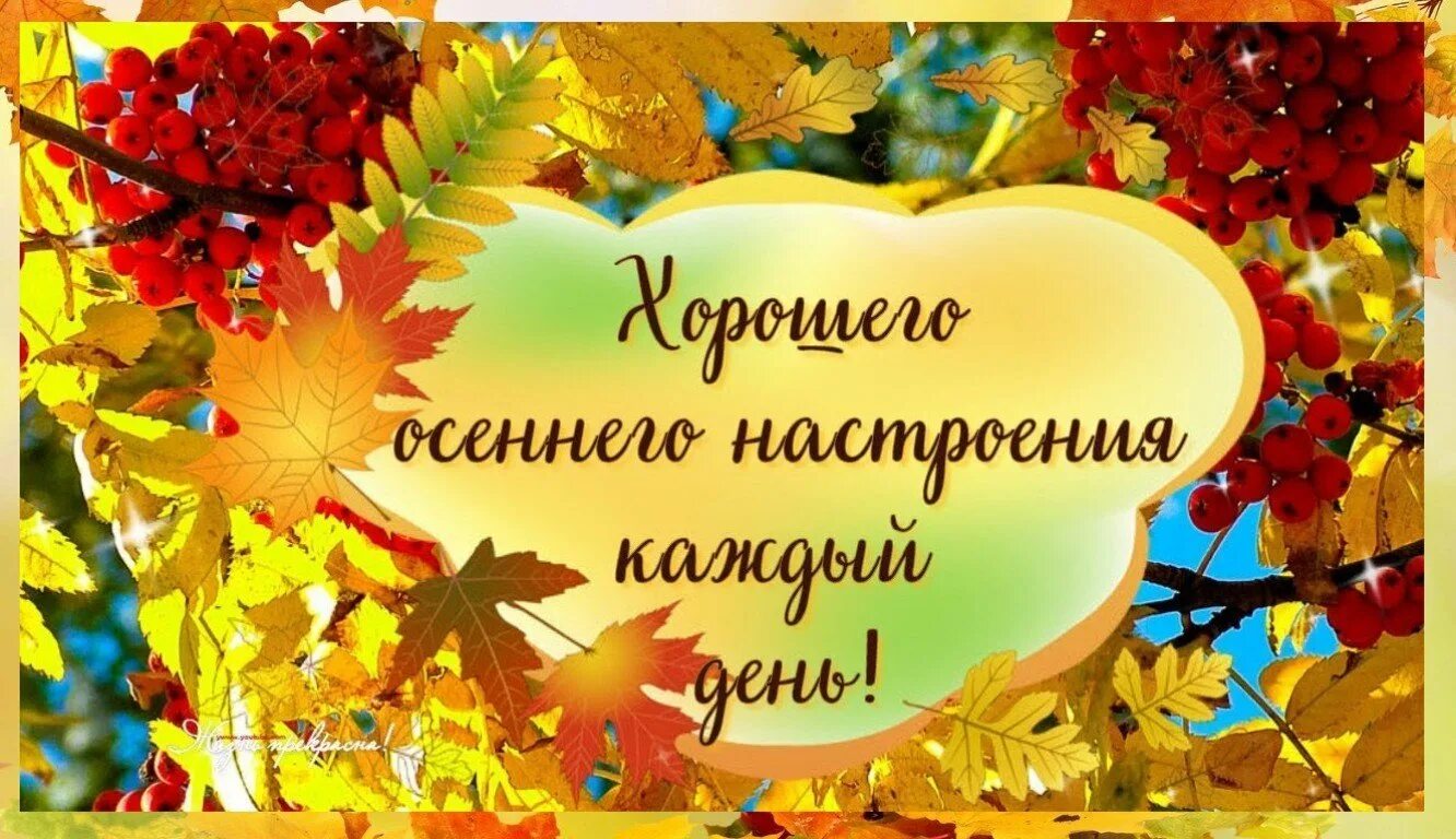 Картинка про осень с пожеланиями хорошего дня Картинки ОСЕННИЕ ПОЗИТИВНЫЕ ПОЖЕЛАНИЯ