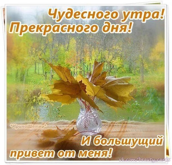 Картинка про осень с пожеланиями хорошего дня Доброе утро, хорошего дня