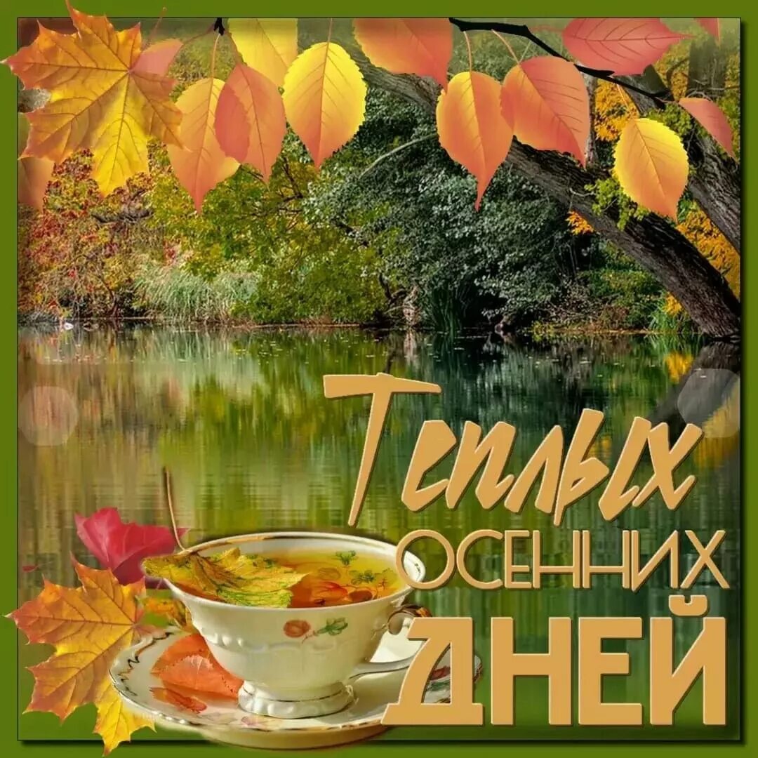 Картинка про осень с пожеланиями хорошего дня Пин на доске Осень. Осенние деревья, Осень, Осенние картинки