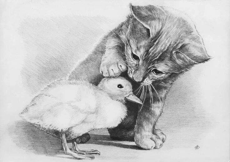 Картинка про животных нарисовать Dibujo de animales, Dibujos de animales realistas, Dibujos de animales
