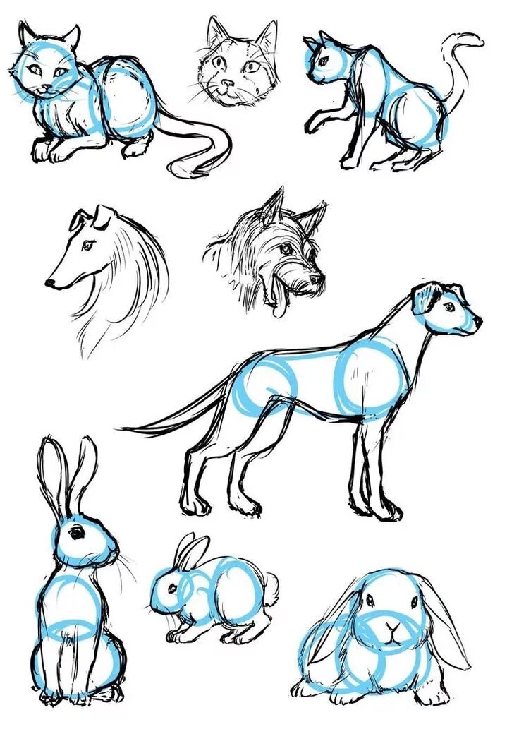 Картинка про животных нарисовать 40 Free & Easy Animal Sketch Drawing Ideas & Inspiration - Bosquejos de animales
