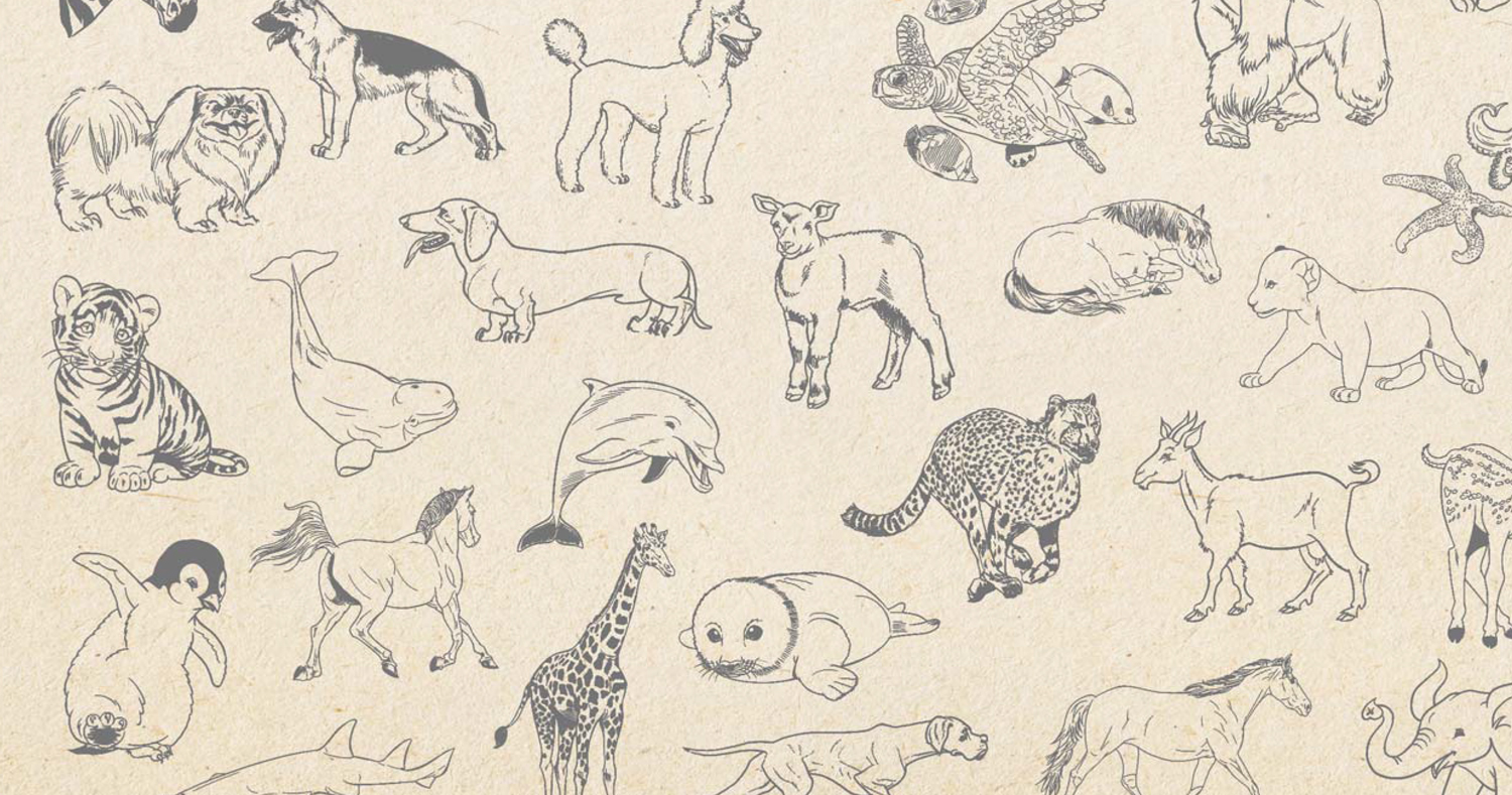 Картинка про животных нарисовать Art Inspiration Archives - Artists Network Animal drawings, Sketches, Pencil dra
