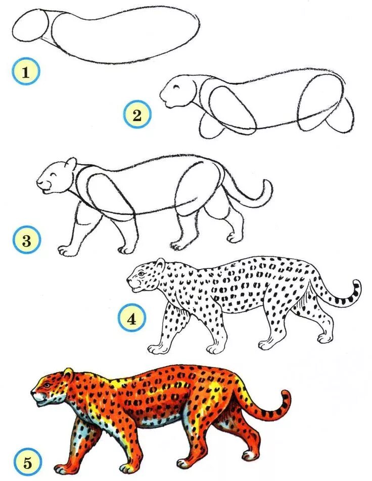 Картинка про животных нарисовать 11.Учимся рисовать животных Leopard drawing, Animal drawings, Easy drawings