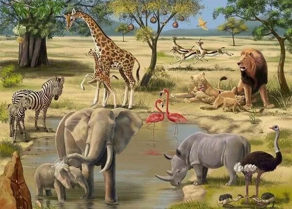 Картинка растения и животные для детей savannah animals - - Yahoo Image Search Results in 2024 Animals images, Animals,