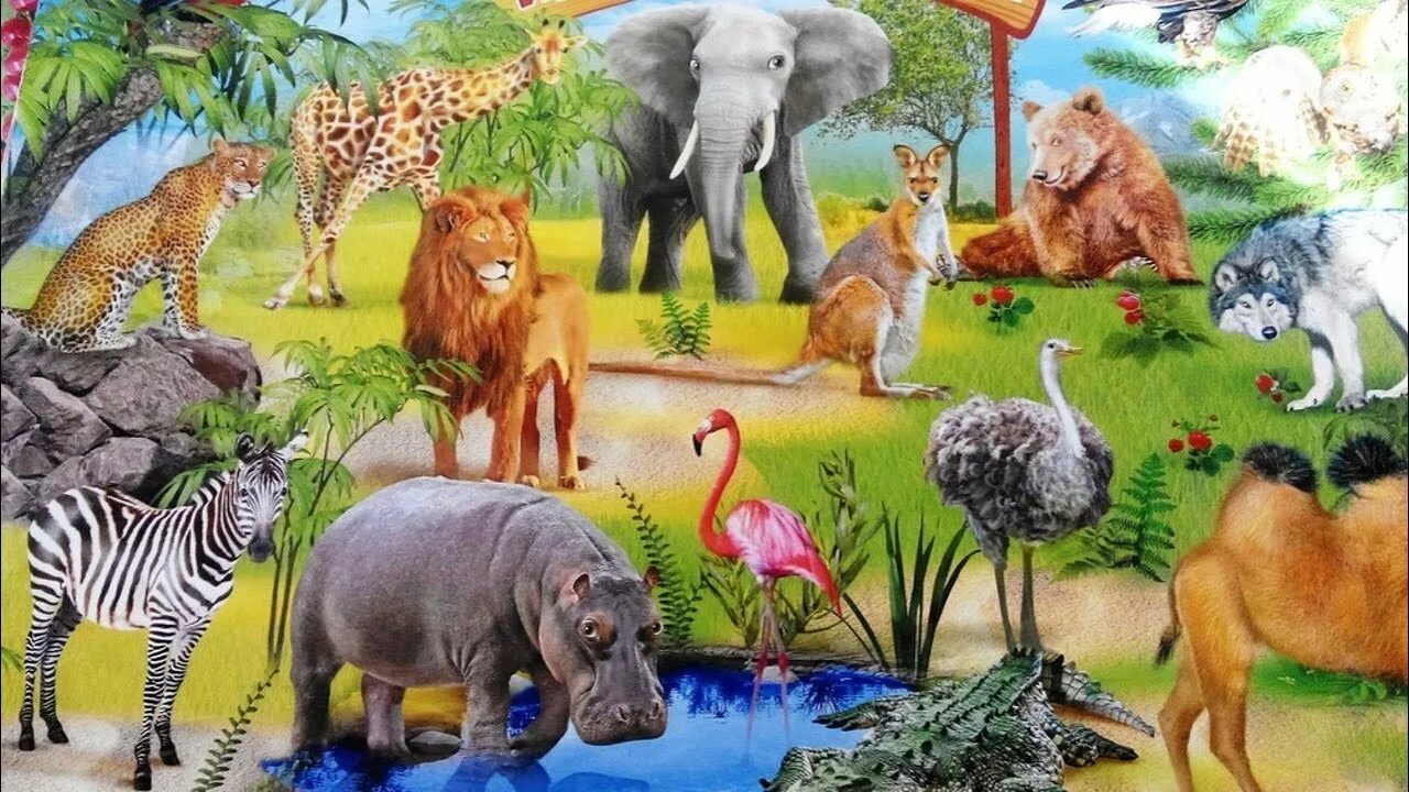 Картинка растения и животные для детей Wonderful animals of our planet: squirrel, monkey, horse, koala, chipmunk... Ani