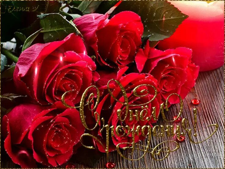 Картинка розы с днем рождения День рождения/Birthday - Праздничная анимация - Анимация - Мир авторской анимаци
