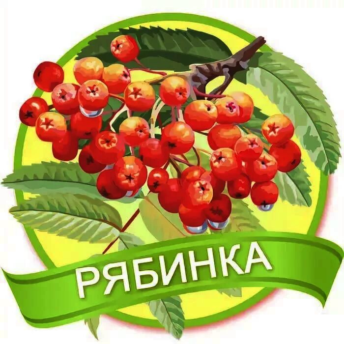 Картинка рябинка для детского сада для оформления Публикации в СМИ МБДОУ Детский сад № 19 "Рябинка"