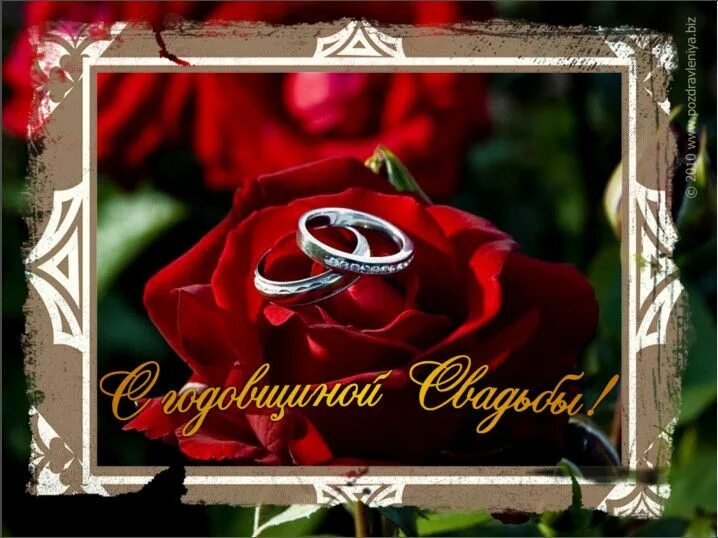 Картинка с 29 годовщиной свадьбы Поздравления с рубиновой свадьбой жене от мужа 29 Свадьба