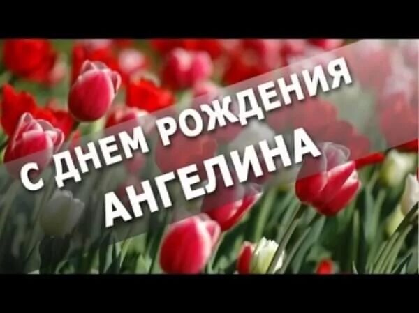Картинка с дне рождения ангелина Красивые картинки с днём рождения Ангелина - (39 открыток)