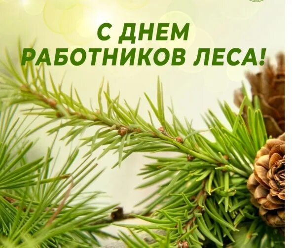 Картинка с днем леса прикольные Поздравление с Днем работника леса России - Хроника деятельности - Комитет по пр