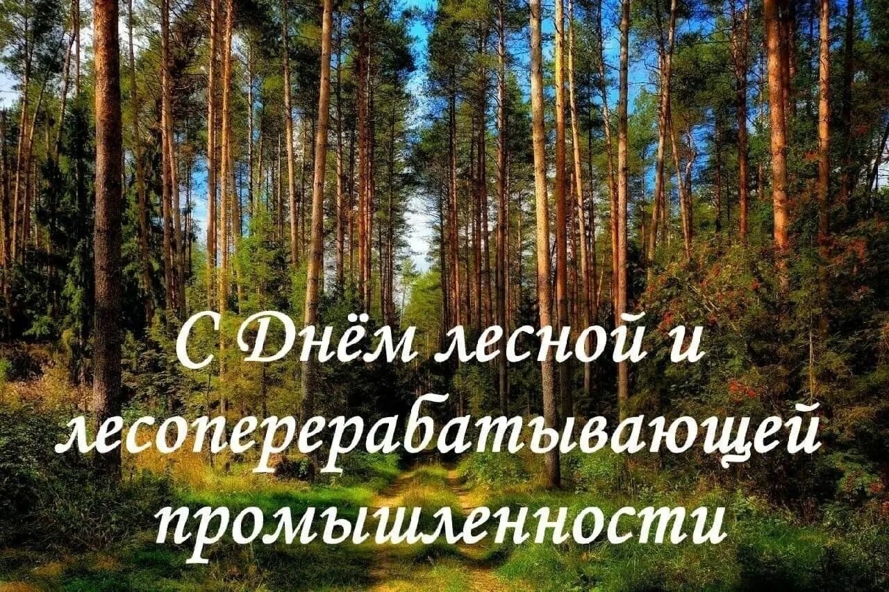 Картинка с днем леса прикольные Беседа "Волшебный мир леса" 2023, Новошешминский район - дата и место проведения