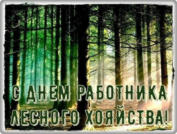 Картинка с днем леса прикольные День лесника"-встреча с лесником 2023, Мамадышский район - дата и место проведен