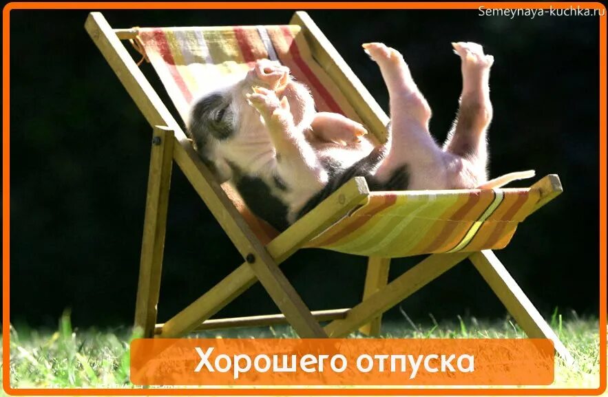 Картинка с днем отпуска прикольная Первый день отпуска приколы картинки: найдено 72 изображений