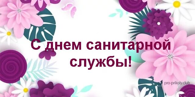 Картинка с днем работника санитарной службы С днем санитарной службы - Арт Минск.ру