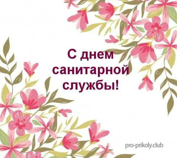 Картинка с днем работника санитарной службы Открытка с днем работника сэс LionArts.ru
