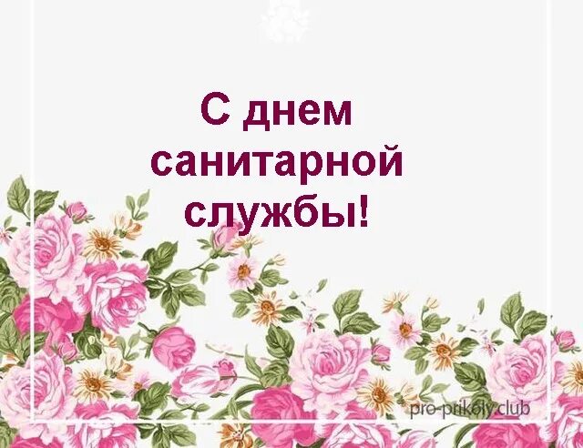 Картинка с днем работника санитарной службы Картинки "С днем санитарной службы" (30 фото) Приколист