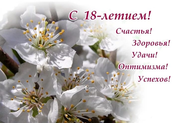 Картинка с днем рождения 18 ПОЗДРАВЛЕНИЕ 18-ЛЕТНИХ С СОВЕРШЕННОЛЕТИЕМ!
