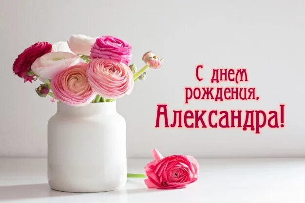 Картинка с днем рождения александра женщине День Рождения Александры КАПУСТИНОЙ! - Официальный сайт женского хоккейного клуб