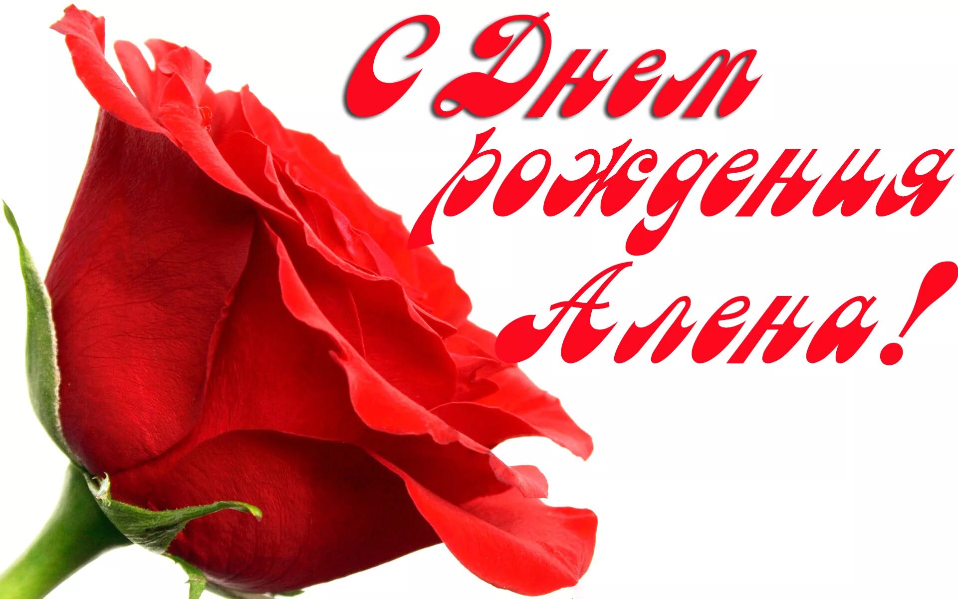 Картинка с днем рождения алена с пожеланиями С днем рождения, Алёна! Красивые поздравления с днем рождения Алёнке в стихах и 