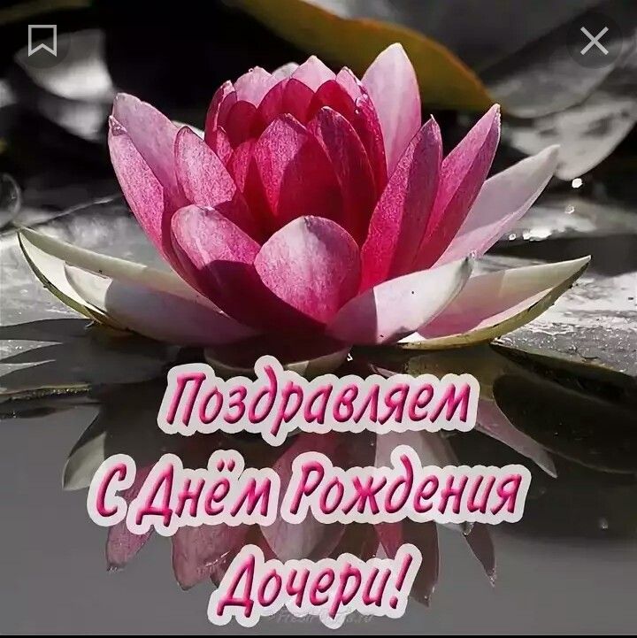 Картинка с днем рождения дочери для мамы Pin on дни рождения и юбилеи Cards, Syna, Caen