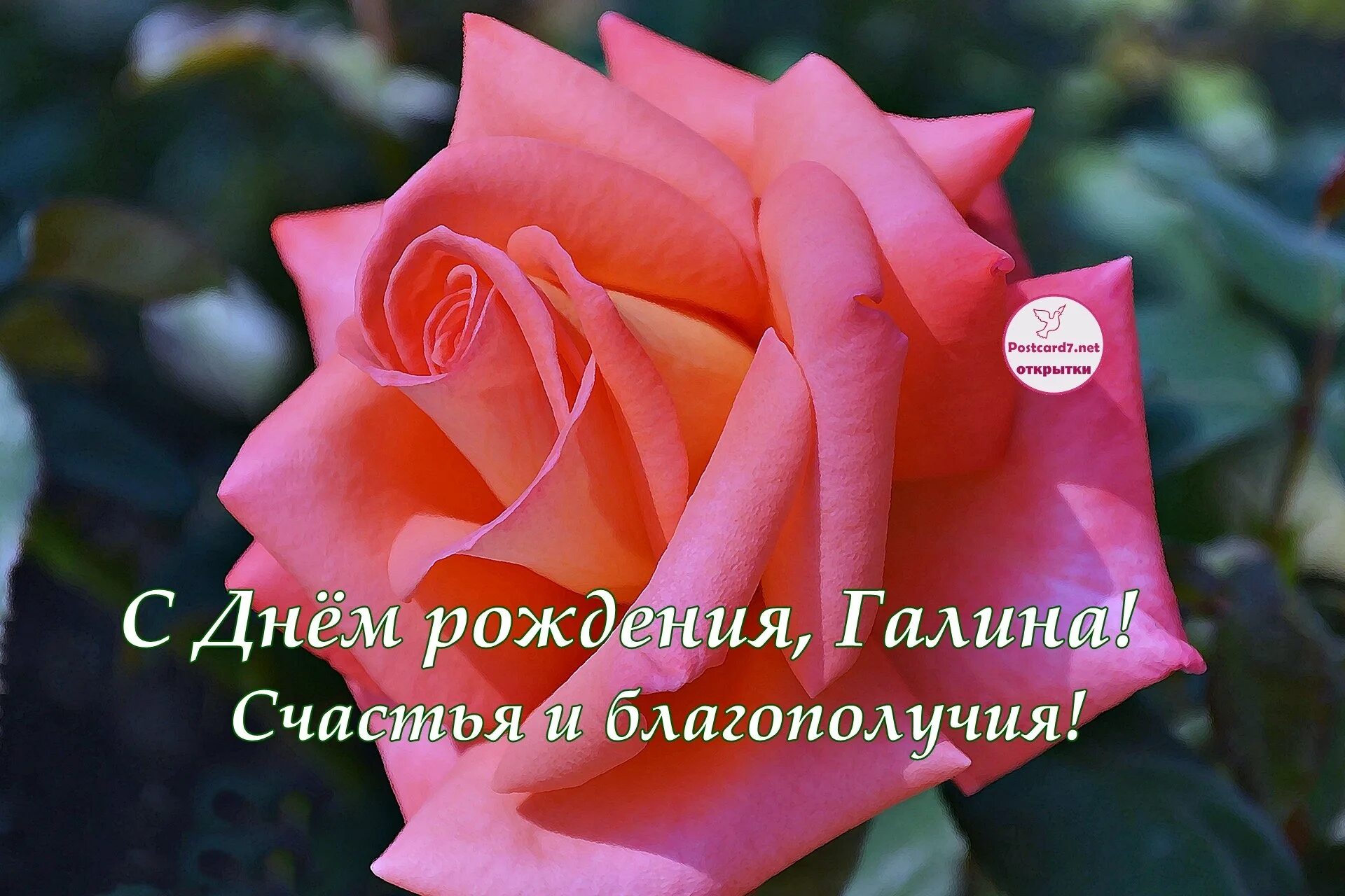 Картинка с днем рождения галин С днем рождения галина красивые открытки со стихами - фото и картинки abrakadabr