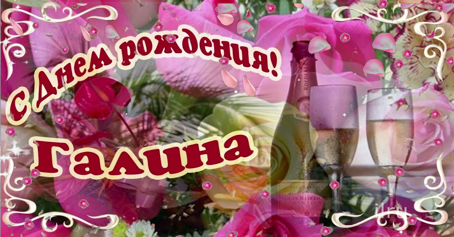 Картинка с днем рождения галин Галина,Поздравляем с Днем Рождения! - смотреть видео онлайн от "ДОМОХОЗЯЙКА" в х