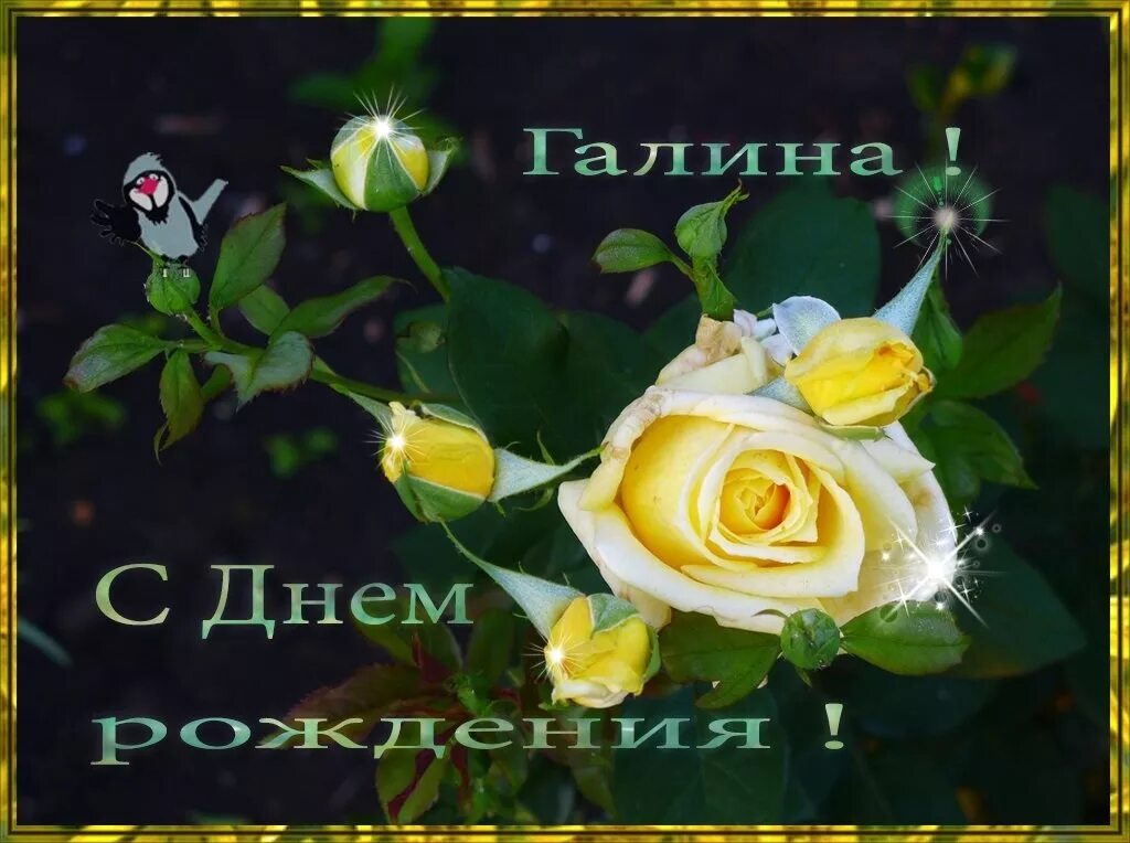 Картинка с днем рождения галя красивые Открытки с Днем Рождения Гале, Галине