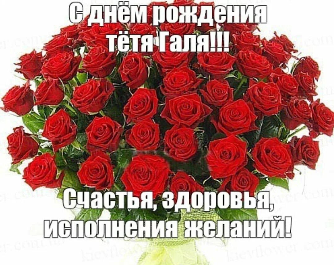 Картинка с днем рождения галя красивые Тетя галя красивая: найдено 89 изображений