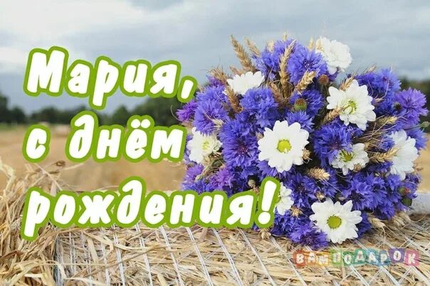 Картинка с днем рождения мария Уважаемая Мария Григорьевна, поздравляю Вас с днём рождения! Желаю самой прекрас