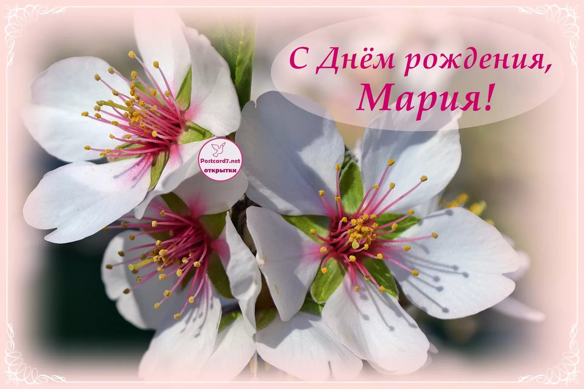 Картинка с днем рождения мария Поздравления с юбилеем Марии: картинки и открытки 83 шт.