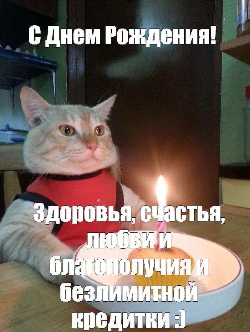 Картинка с днем рождения мем Всем привет. Хочу поздравить сегодня с днем рождения Викторию Гусельникову. Зара