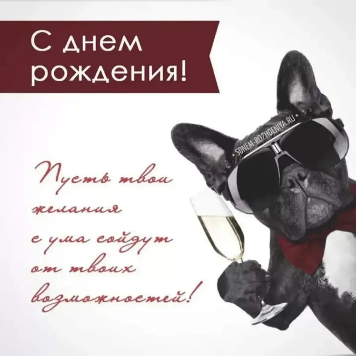 Картинка с днем рождения мужская прикольная скачать Прикольные поздравления лучшему другу: найдено 84 изображений