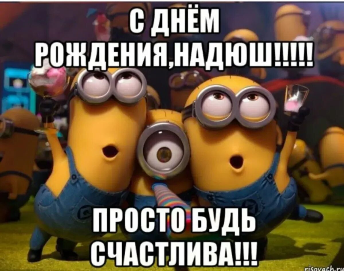 Картинка с днем рождения надюшка прикольные Поздравления с днем рождения бывшему однокурснику: картинки и открытки 100 шт.