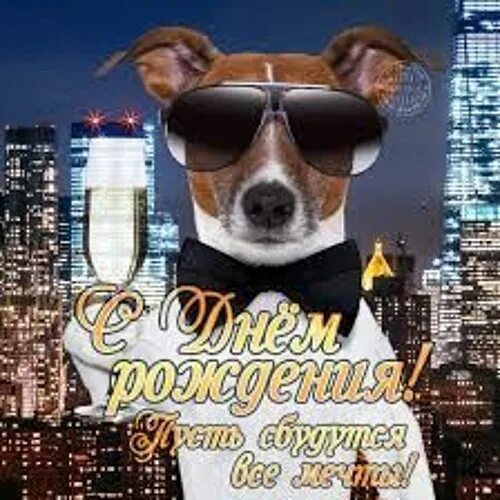 Картинка с днем рождения пацану прикольная Listen to music albums featuring Oxxxymiron & Капитан З@лупа & Валентин Стрыкало
