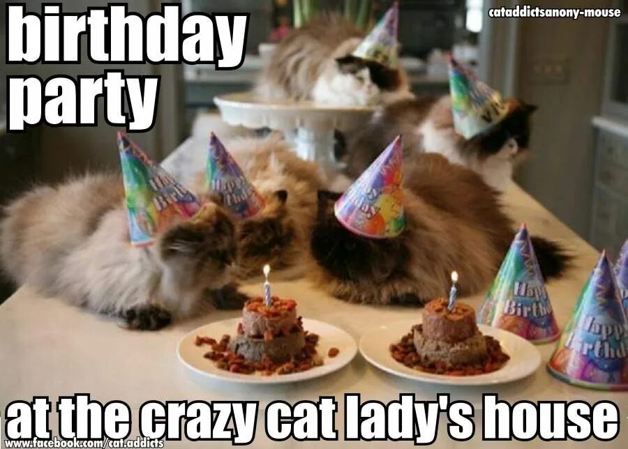 Картинка с днем рождения с котом Pin on =.= Must ♥ Cats =.= Cat celebrating, Happy birthday cat, Cat birthday
