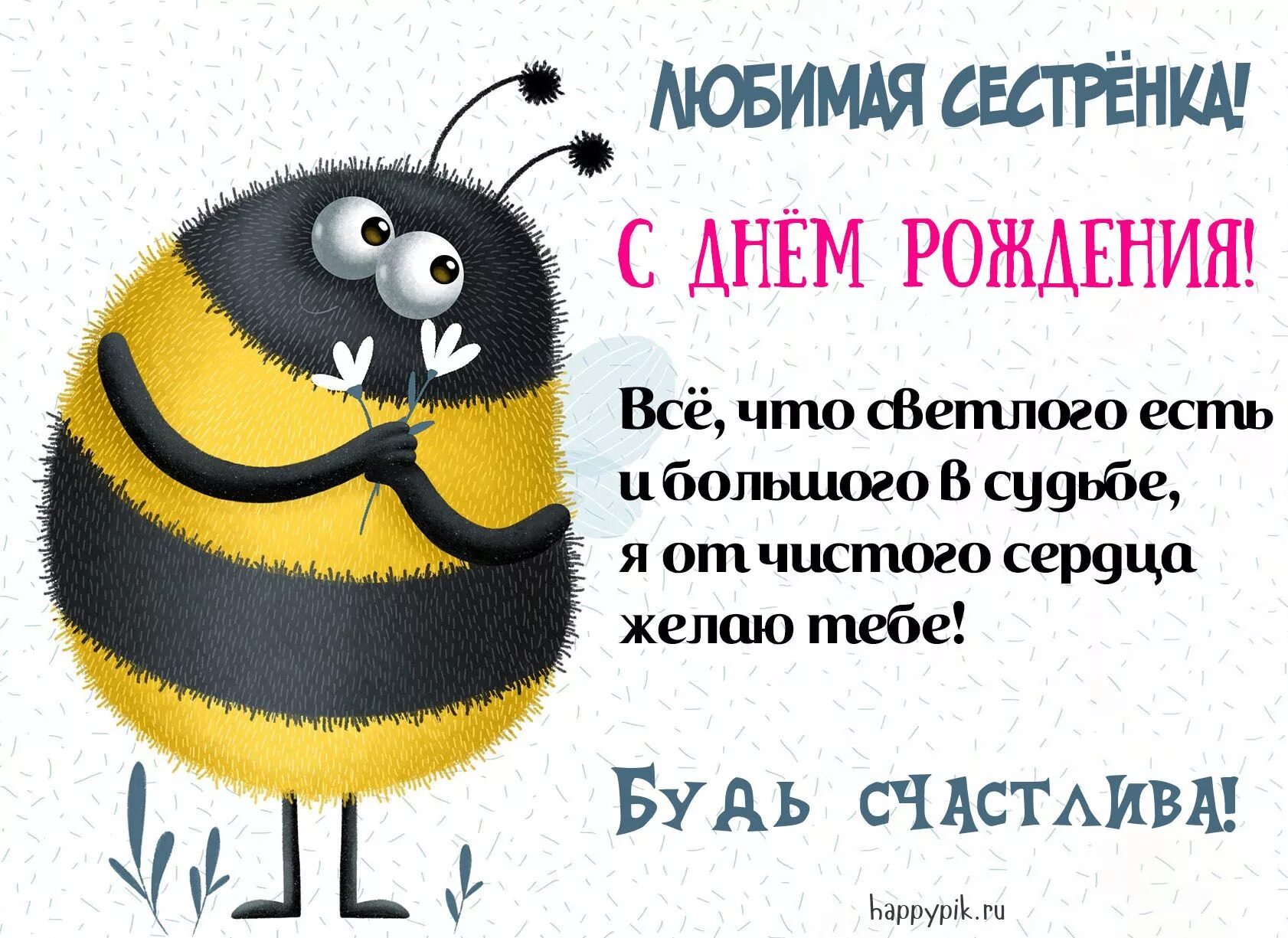 Картинка с днем рождения сестра прикольная new-pin С днем рождения, Сестры, Семейные дни рождения
