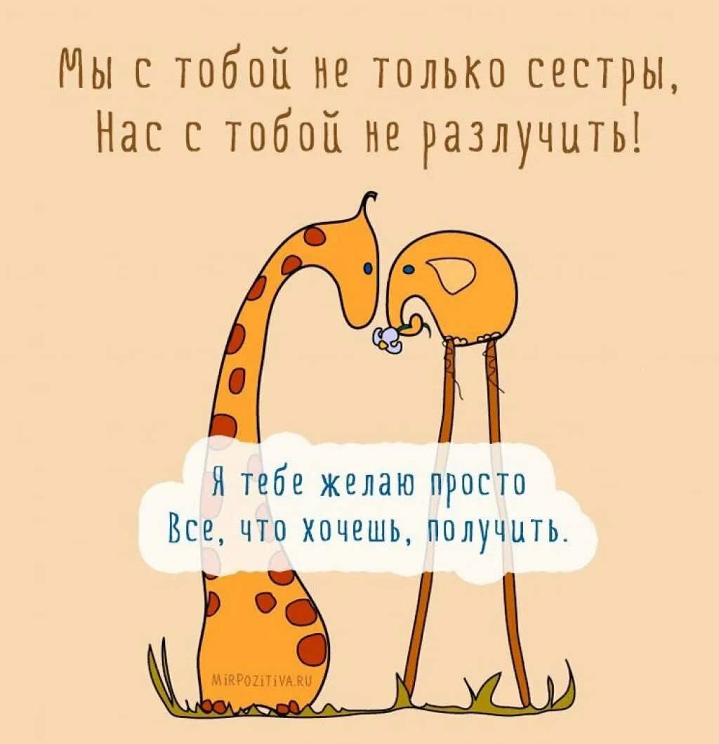 Картинка с днем рождения сестра прикольная Прикольные поздравления сестре с днем рождения в прозе с фото