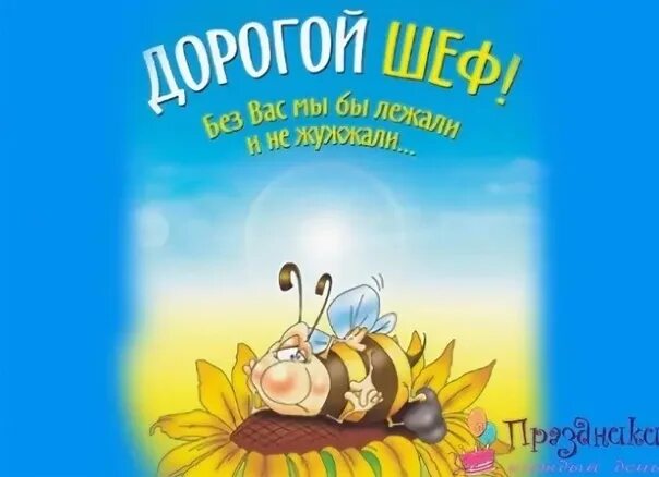 Картинка с днем рождения шеф женщине Если зададут вопрос: "У тебя хороший босс?" Я отвечу без вопросов: "Я довольна с