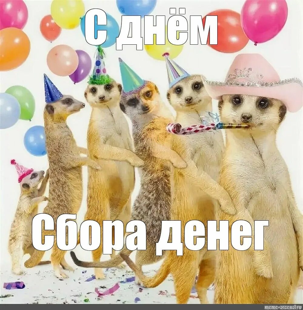 Картинка с днем рождения смешная с юмором Быстрый и удобный сервис для создания мемов :) Мемы, Смешные открытки, С днем ро