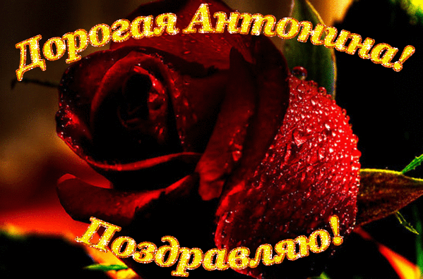 Картинка с днем рождения женщине антонина С ДНЁМ РОЖДЕНИЯ, АНТОНИНА!!! - "три ступени", пользователь Татьяна М. Группы Мой