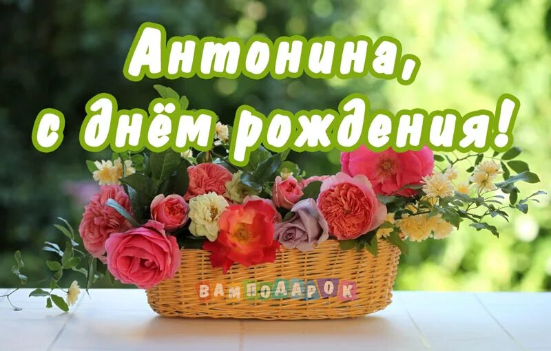 Картинка с днем рождения женщине антонина Поздравления Антонине с днем рождения