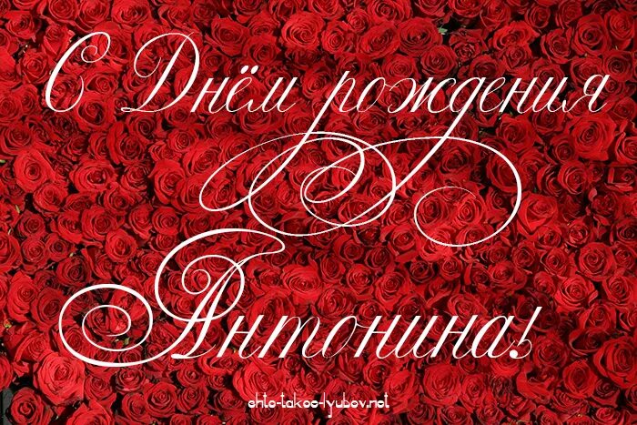 Картинка с днем рождения женщине антонина Антонина - Стихи, картинки и любовь