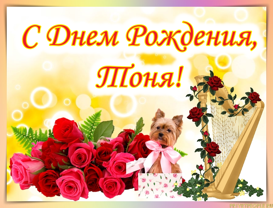 Картинка с днем рождения женщине антонина С днем рождения женщине красивые тоне: найдено 86 изображений