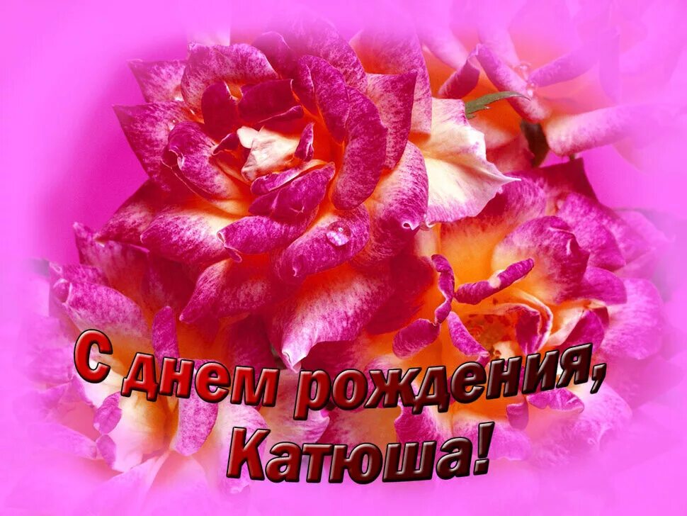 Картинка с днем рождения женщине екатерина Открытки С Днем Рождения, Екатерина (Катя, Катечка)! в Доме Солнца