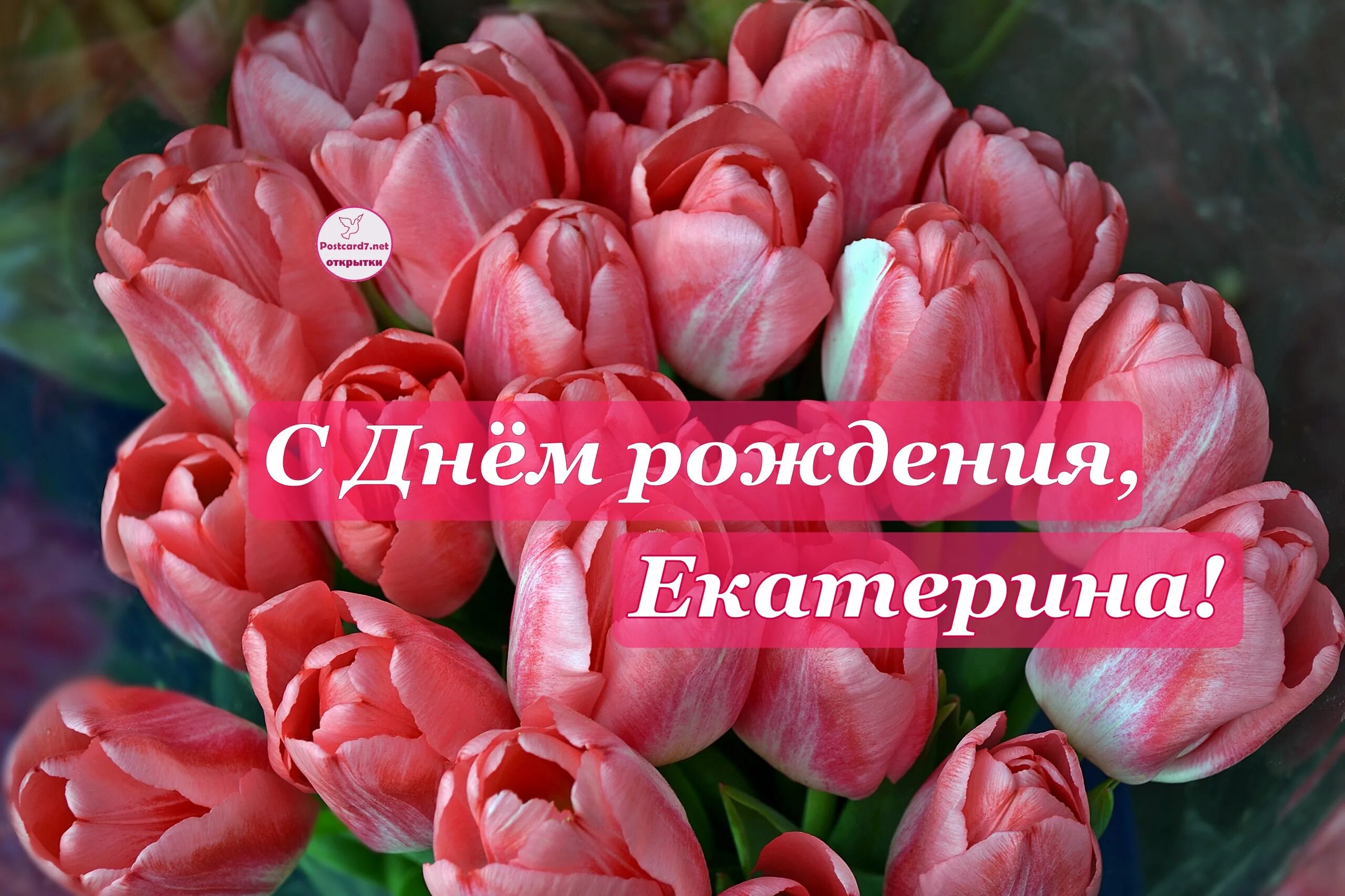 Картинка с днем рождения женщине екатерина Музыкальное поздравление с днем рождения для катерины - С Днём рождения, Екатери