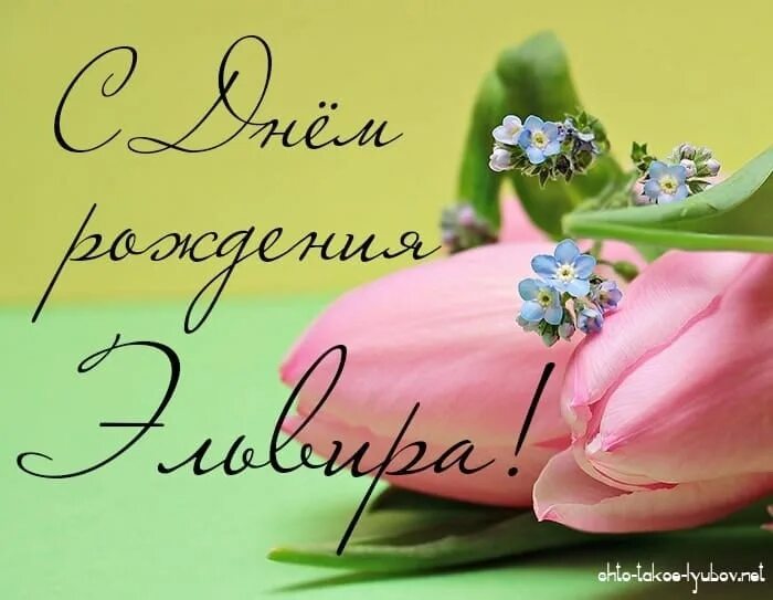 Картинка с днем рождения женщине эльвира El'vira Ibragimova, El'vira Sultanova, El'vira Sahapova 2023 Эльвира VK